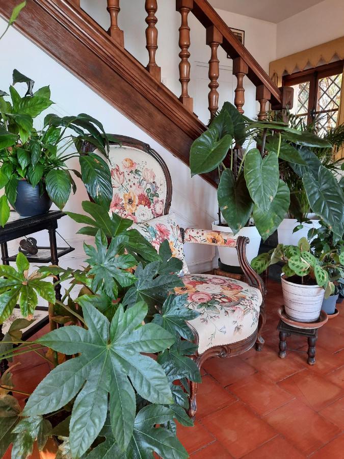 Bed and Breakfast Soutariba Roquebrune-Cap-Martin Exterior foto